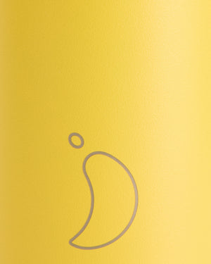 chilly-s-matte-green-water-bottle-gourde-isotherme-acier-inoxydable-fini-mat-fro image 6